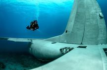 Private Diving Lesson in Aqaba: Be a Certified Diver