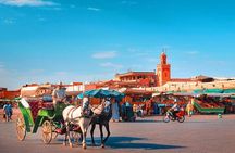 Marrakech Medina Tour With Private Licensed Guide (Private Tour)