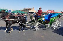 1-Hour Horse Carriage Drawn Marrakech City Tour