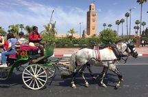 1-Hour Horse Carriage Drawn Marrakech City Tour