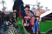 1-Hour Horse Carriage Drawn Marrakech City Tour