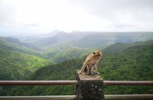 Mauritius Guided South Tour "Private"