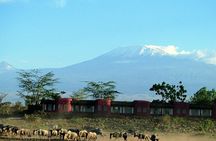 Day Tour to Amboseli National Park