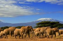 Day Tour to Amboseli National Park