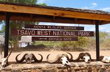  Private Tour of Tsavo East National Park from Mombasa