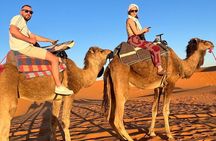 3 days 2 nights Desert Trip from Errachidia Airport /Hotel 