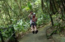 Jeep & Zipline Adventure in St. Lucia