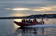 Cork Harbour RIB Tour