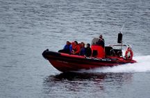 Cork Harbour RIB Tour