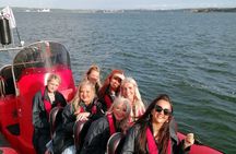 Cork Harbour RIB Tour