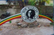 Bob Marley Nine Mile Private Tour