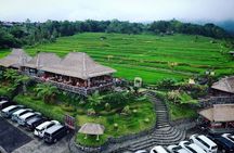 4-Hour Private Tour in Jatiluwih Terraces and Butterfly Park 