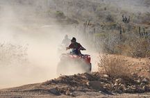 ATV and Camel Experience Los Cabos