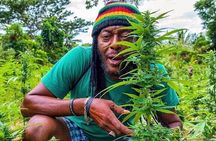Rasta Safari Atv Experience and Rick's Cafe Private Tour