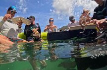 Full Day Private Sightseeing Snorkel Boat Charter Virgin Islands