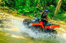 Puerto Vallarta Jungle Tour or RZR + Tequila