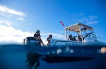 Private Shark Dive, Oahu, Hawaii (6 Guest)