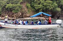 Bioluminescence Experience from Curú Wildlife Refuge