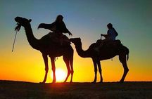 Dinner Under the Stars Desert Agafay & Sunset Camel Ride 