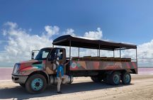 Admission Ticket to Safari in the Pink Lagoons of Las Coloradas