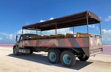 Admission Ticket to Safari in the Pink Lagoons of Las Coloradas