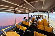 Admission Ticket to Safari in the Pink Lagoons of Las Coloradas