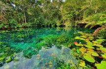 Cenotes trail jungle bike tour in Tulum with lunch