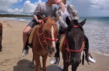 Beach Horseback Ride Tour at Punta Cana