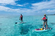 Private Excursion with E-Board in Moorea and snorkeling