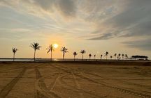 Port City Beach Safari