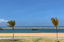 Port City Beach Safari