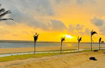 Port City Beach Safari