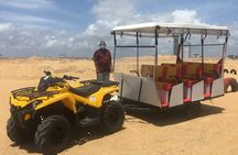 Port City Beach Safari