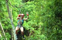 Krabi's Tropical Rainforest Canopy Zipline Adventure