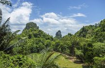 Krabi's Tropical Rainforest Canopy Zipline Adventure