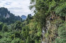 Half Day Zipline and Rainforest Exploration in Krabi