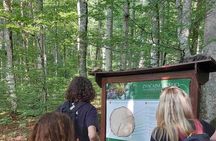 NORTH TOUR Np Biograd Gora-Lake-Moraca Canyon & Monastery-Kolasin