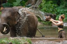 Chitwan National Park Tour