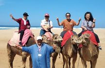 Excursion and Private Full Day Tour of Tangier
