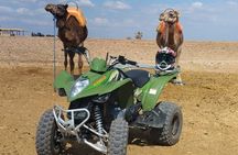 Quad in the Palmeraie of Marrakech