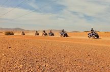 Quad in the Palmeraie of Marrakech