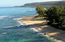 Private Surf Lesson for 3-5 People in North Shore Oahu