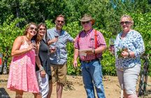 The Napa Native Experience