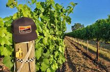 The Napa Native Experience