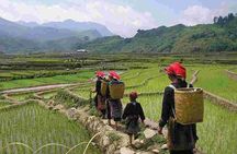 PRIVATE Trekking Sapa Tour 2 Days 1 Night ( Homestay Overnight)
