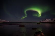 Tromsø Norway - Small Group Aurora Hunt Tour with a local guide