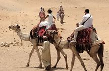 Half day Private Tour Giza pyramids the Sphinx and Camel Ride 