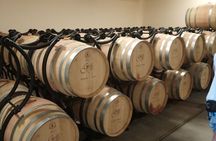 Country side Dubrovnik gastro and wine tour 