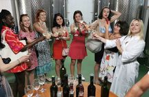 Country side Dubrovnik gastro and wine tour 