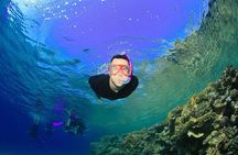 Tiran Island Snorkeling Experience by Yacht Sharm El Sheikh